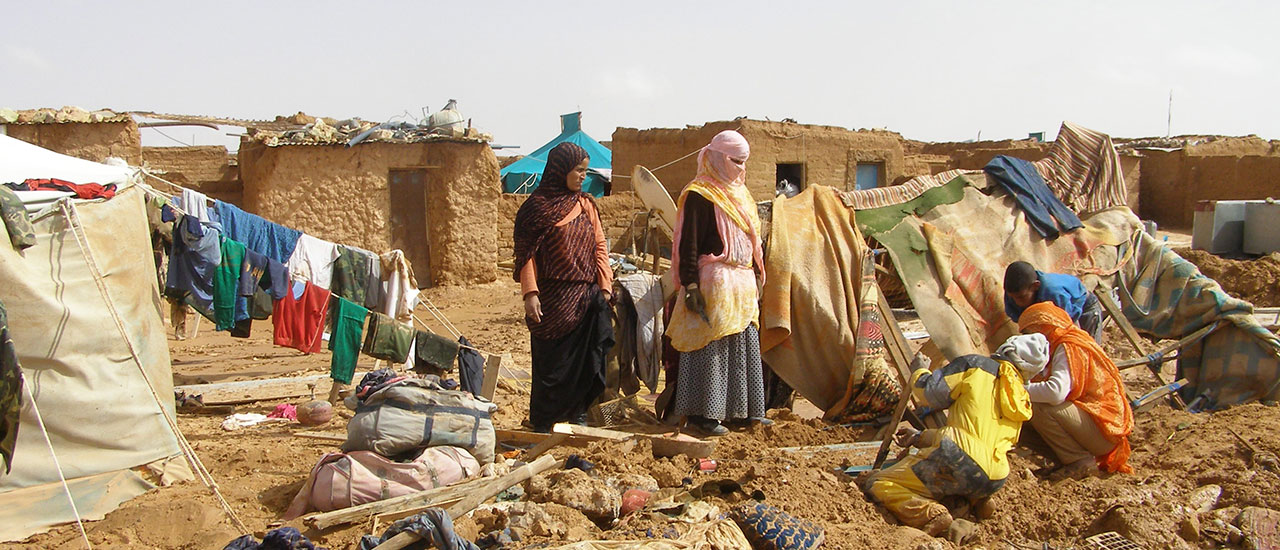 Las ONG presentes en el Sahara reclamamos asistencia para las familias afectadas por las inundaciones