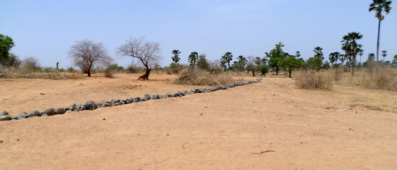 Luchando contra la desertificación en zonas rurales de Mali