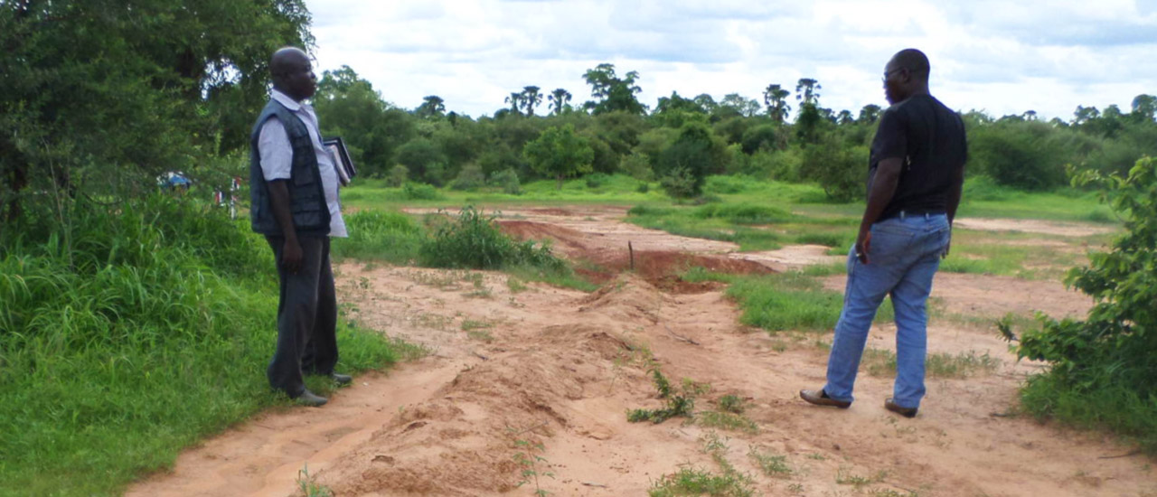 Luchando contra la desertificación en zonas rurales de Mali