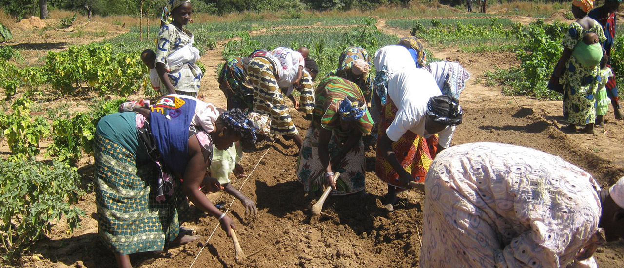 Día Internacional de las Mujeres Rurales: entrevista a Missa Tounkara