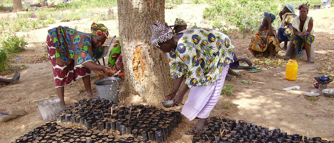 Día Internacional de las Mujeres Rurales: entrevista a Missa Tounkara