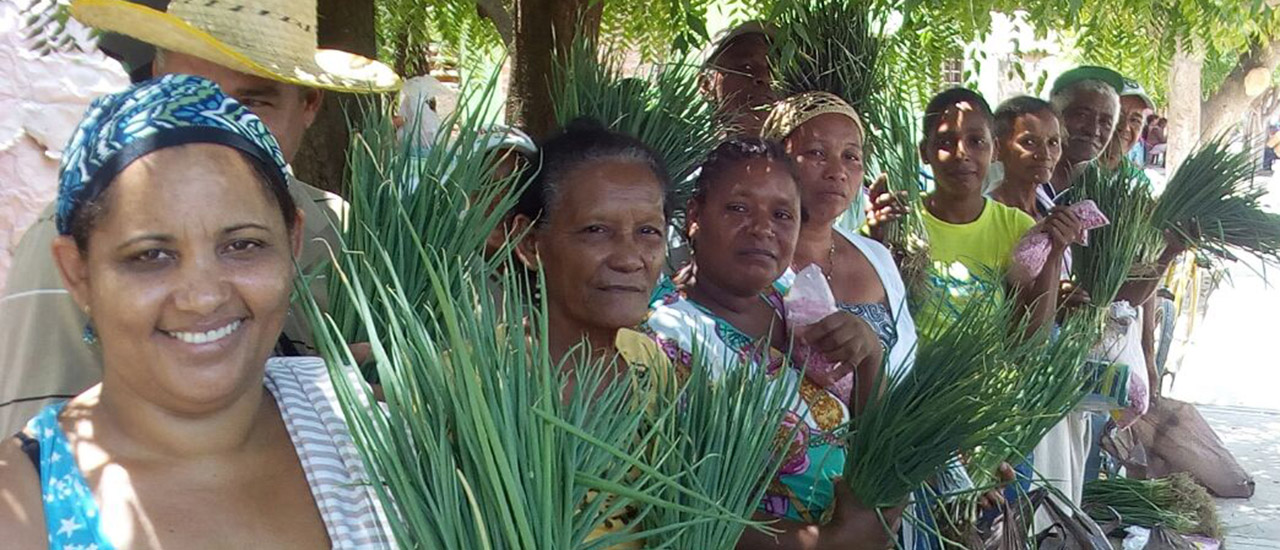 Las mujeres y las niñas, declaramos que la paz también es nuestra.