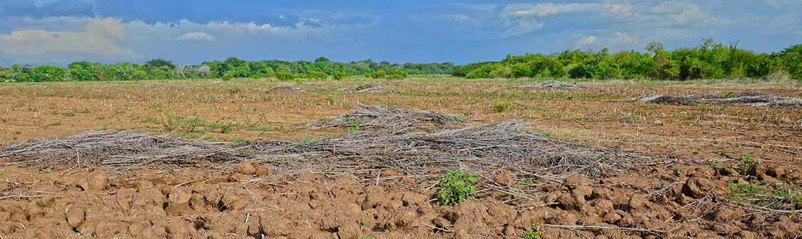 Situación del país | Nicaragua