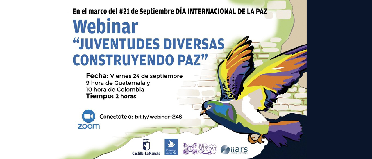 Webinar 'Juventudes diversas construyendo paz'