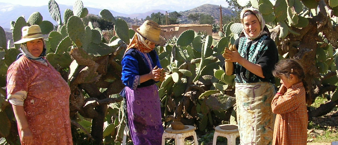 Participación democrática en el medio rural